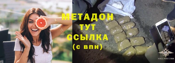 шишки Пересвет