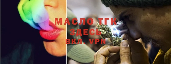 гашик Пестово